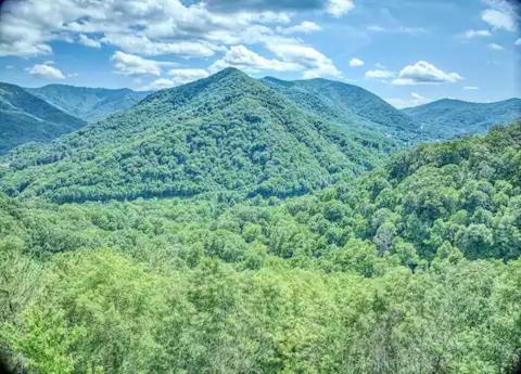 With Beautiful Mountain Views, Hottub, Pet Friendly, Gameroom, Fireplace